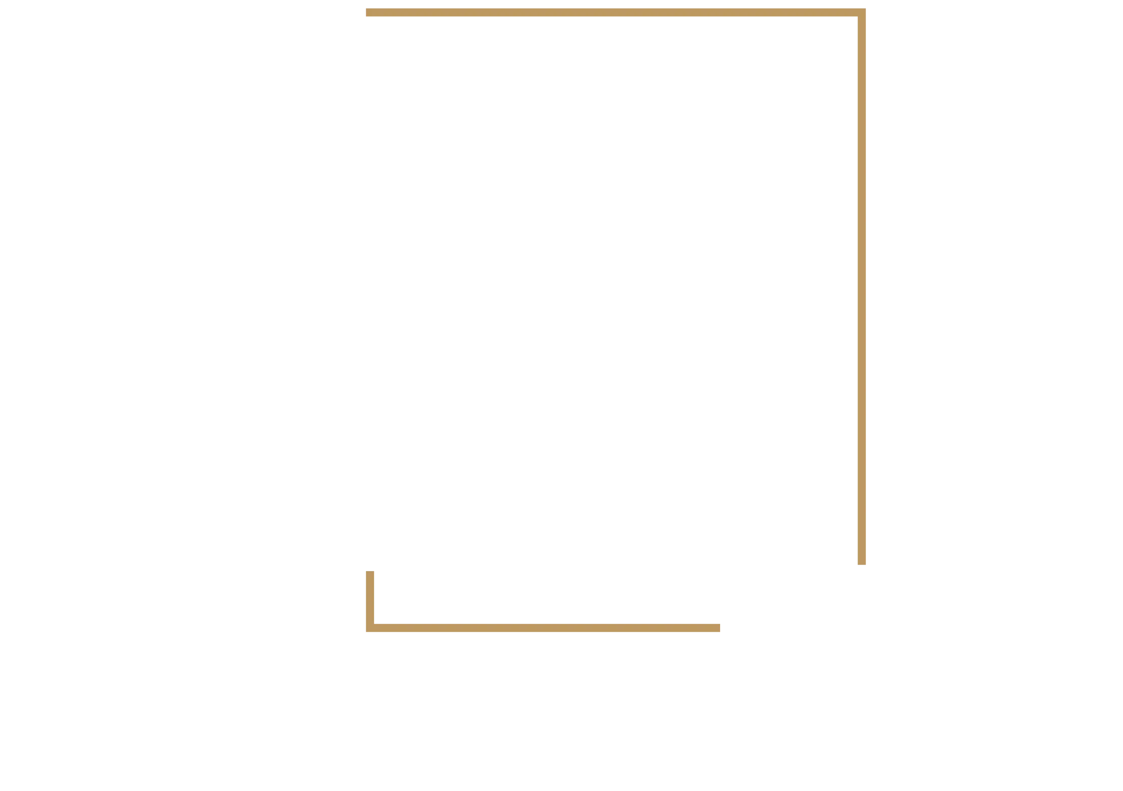 JNT Conseils